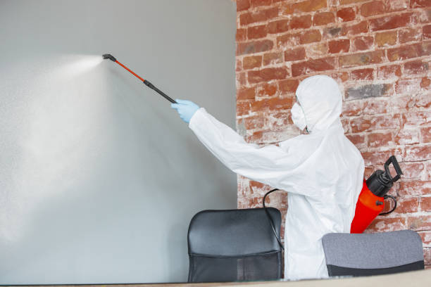 Best Biohazard Mold Removal  in Weslaco, TX