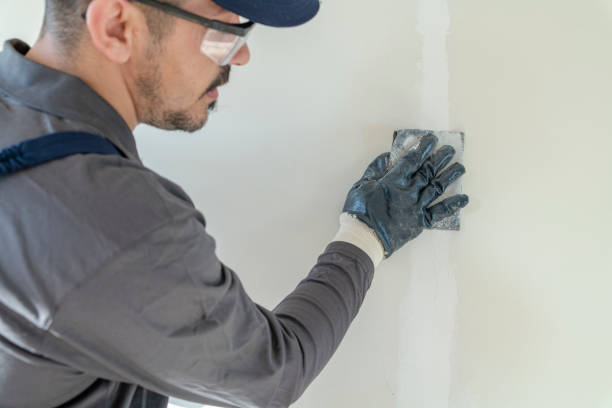 Best Crawl Space Mold Remediation  in Weslaco, TX