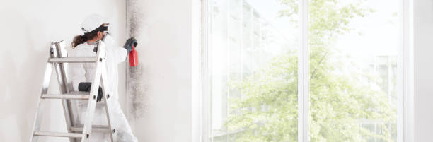 Best Mold Remediation for Healthcare Facilities  in Weslaco, TX