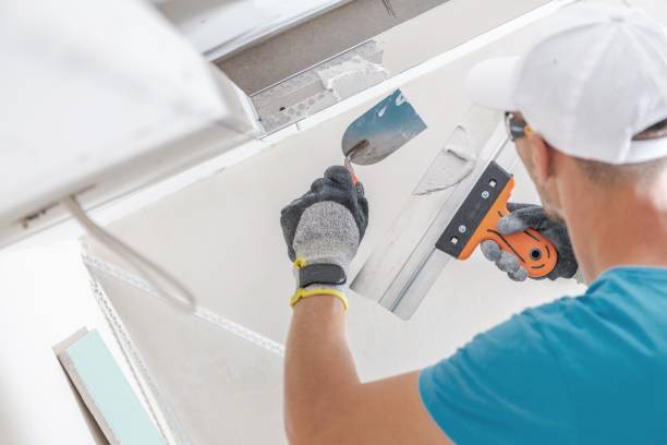 Best Mold Remediation for Rental Properties  in Weslaco, TX